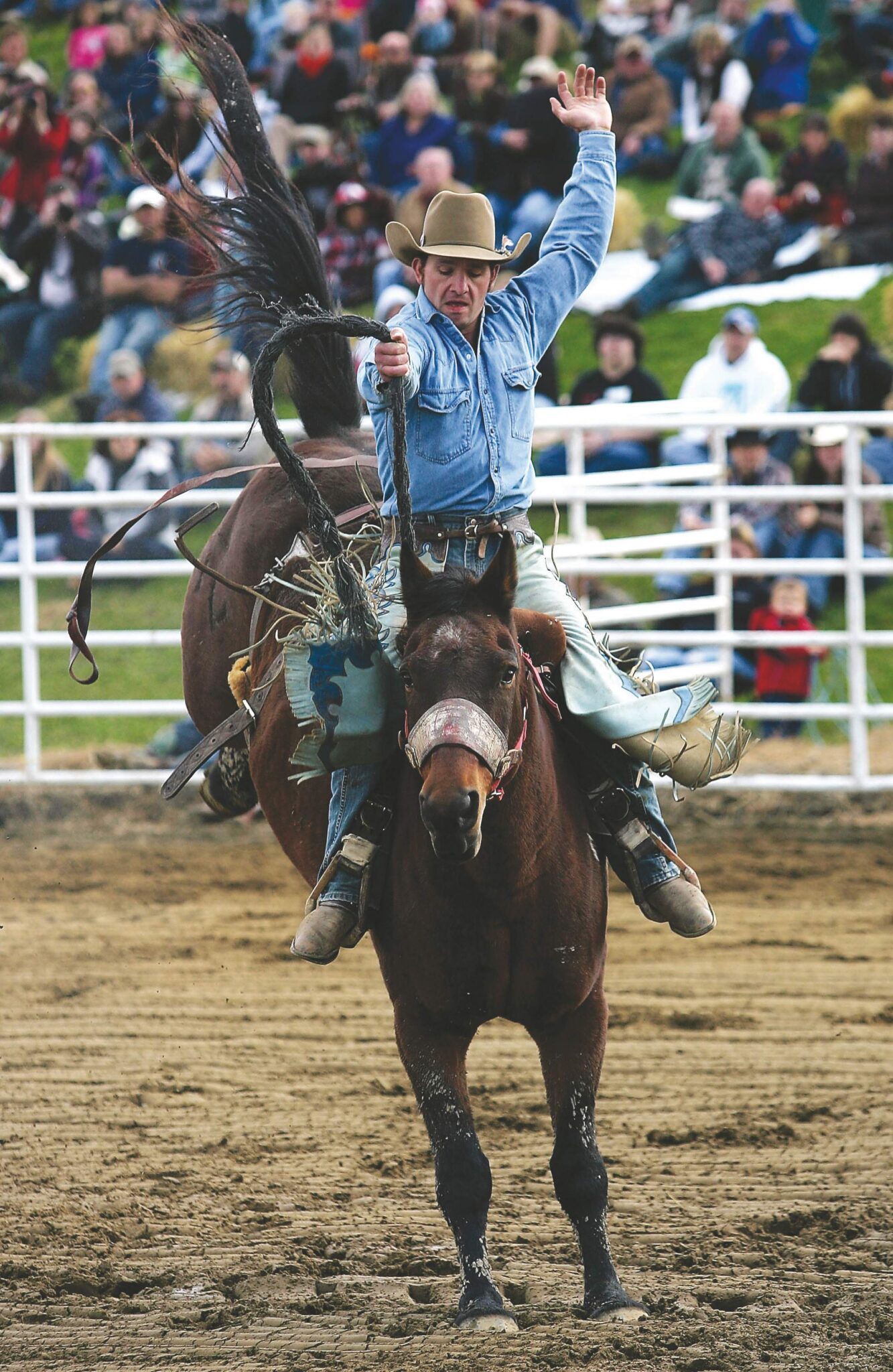 Annual Pro Rodeo - Green Valley Farms